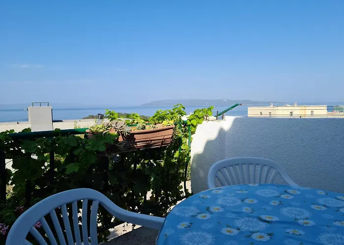 Apartments Vinea