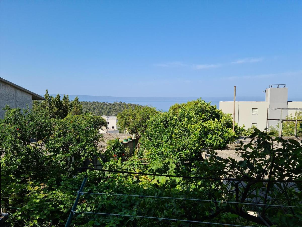 Apartment Vinea Makarska