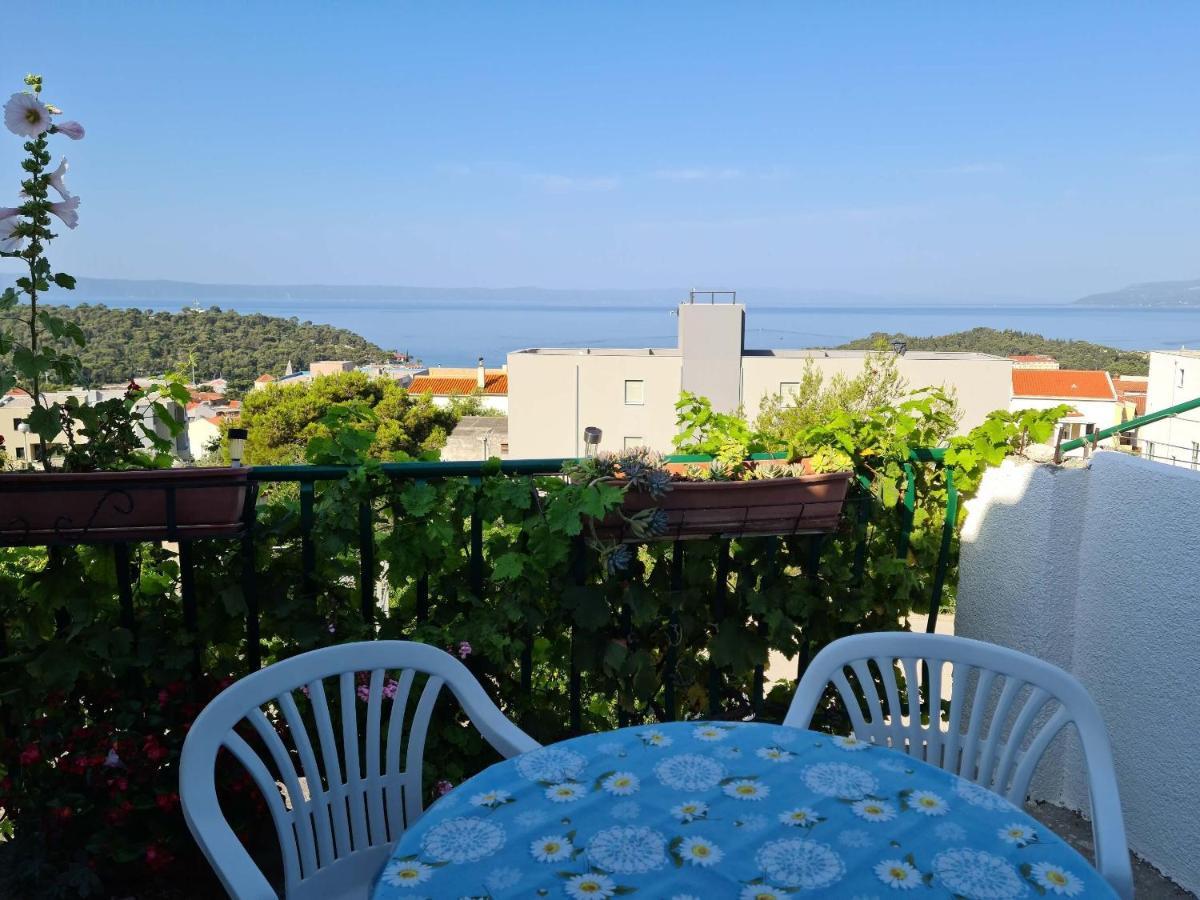 Apartment Vinea